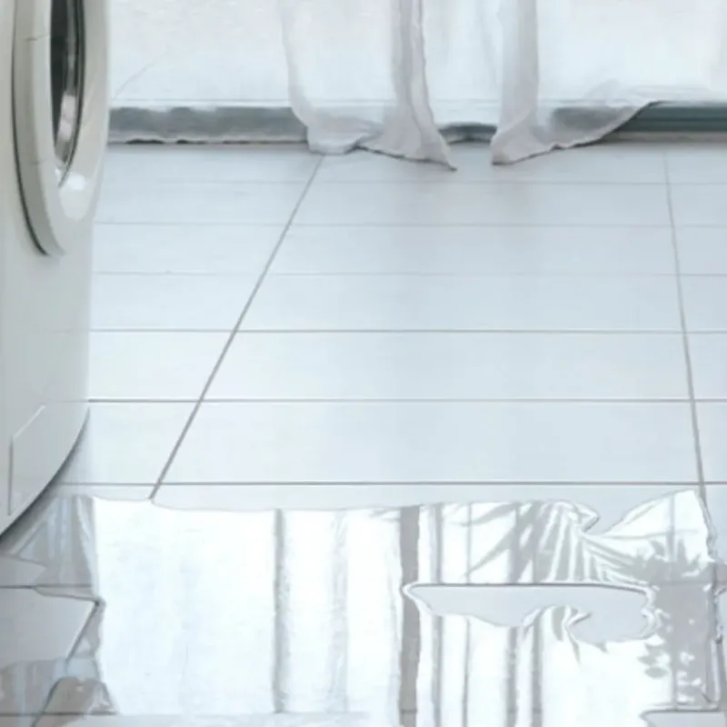Appliance Leak Cleanup in Stanaford, WV