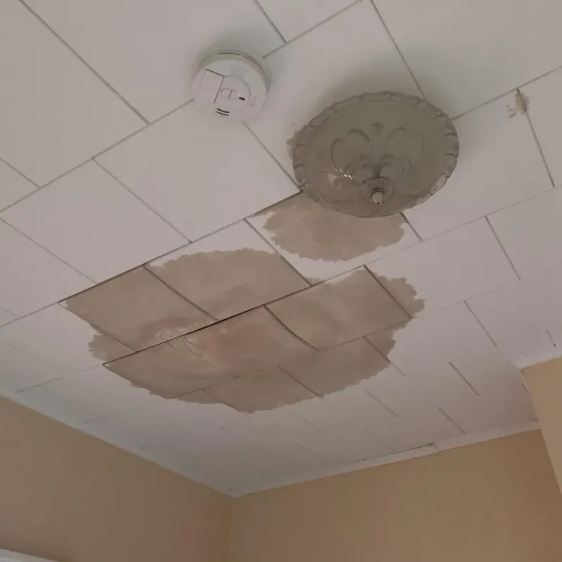 Ceiling Water Damage Repair in Stanaford, WV