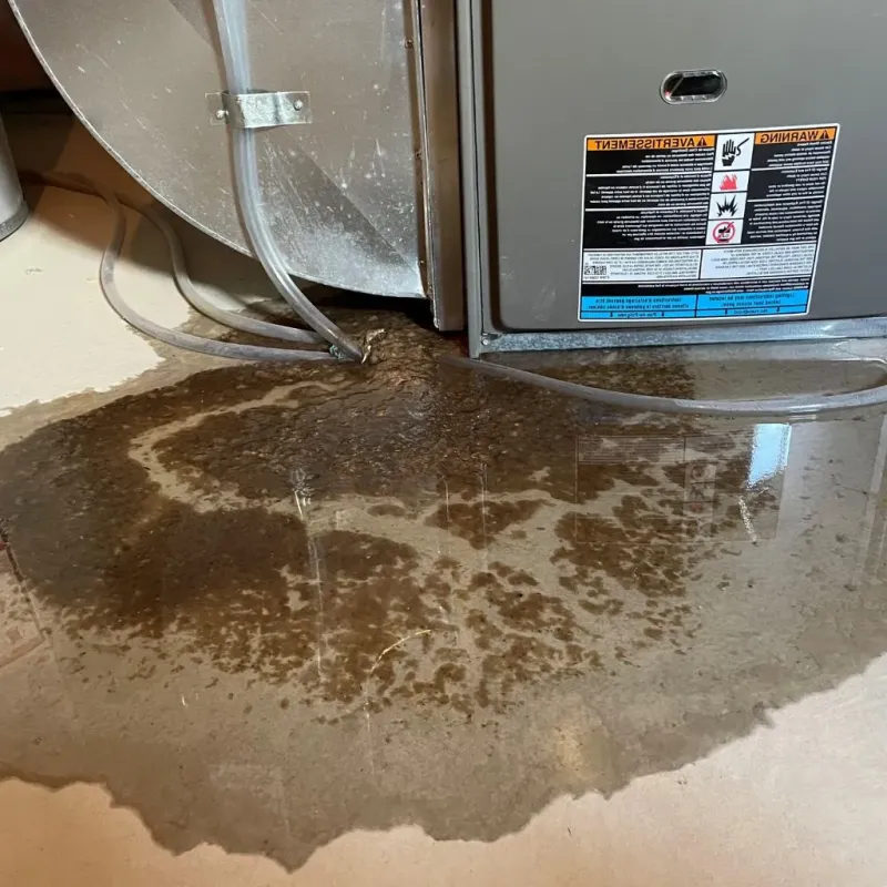 Pipe Burst and Leak Restoration in Stanaford, WV
