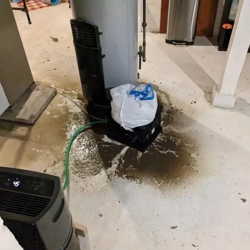 Sewage Backup Cleanup Service in Stanaford, WV